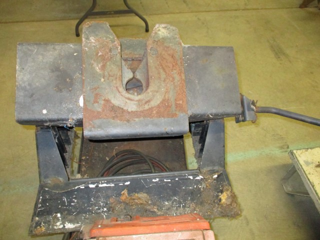 IMG 0115